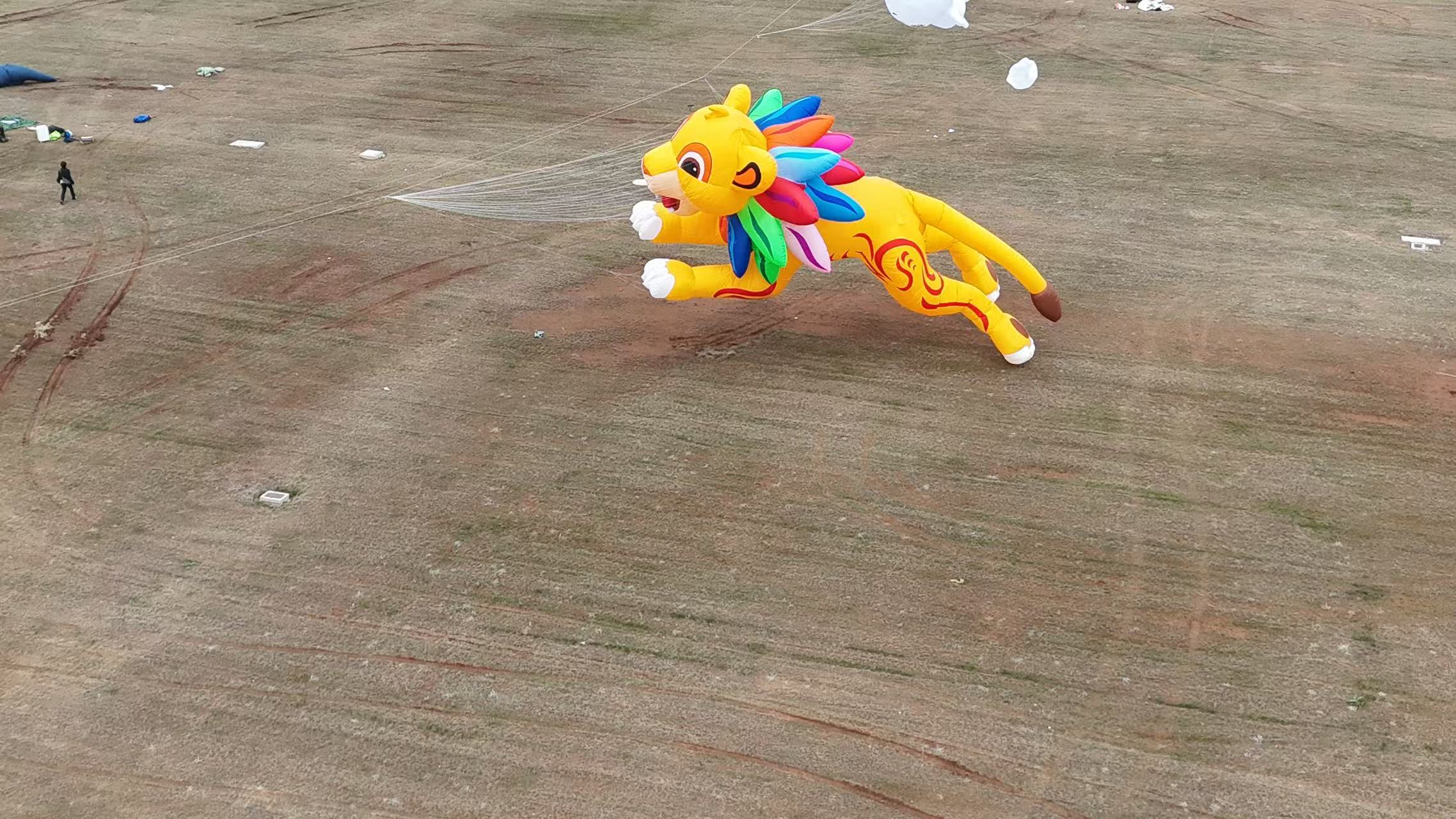 邢台市品牌风筝定制风筝加工 - 价格
