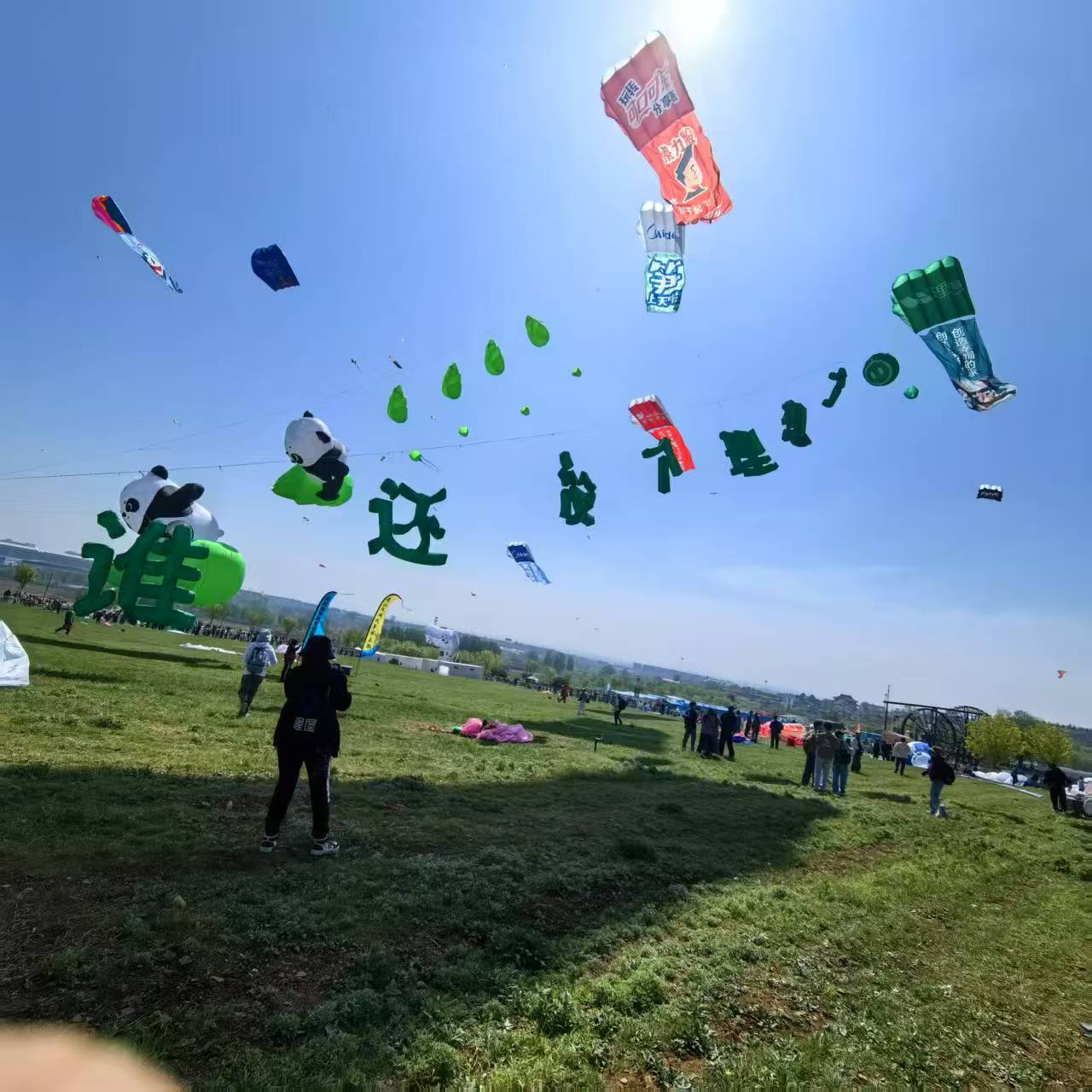 邢台市风筝定制风筝定制 - 价格